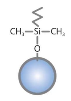 C4