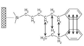 PHENYL