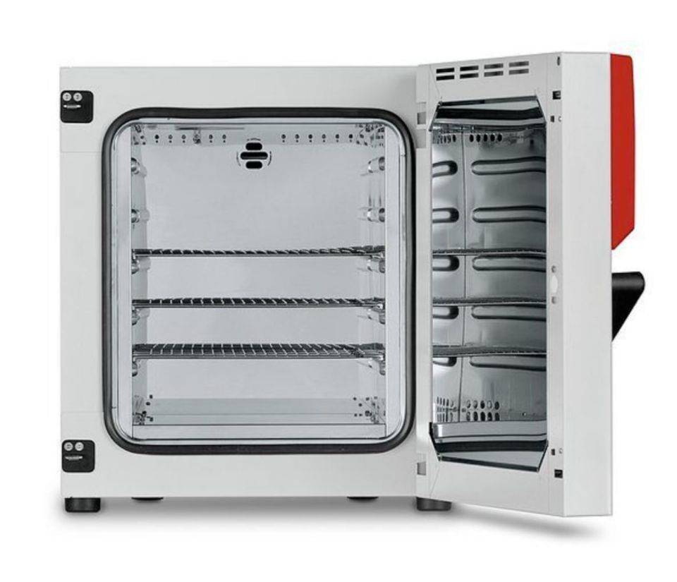 Binder FD-S 56 Model Fanlı Etüv, 55 Litre, Ortam Sıcaklığı + 10°C - 250°C