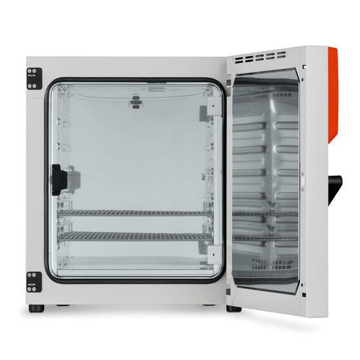 Binder BD260 Model Doğal Hava Dolaşımlı Standart İnkübatör, 253 Litre, Ortam Sıcaklığı+5-100 °C
