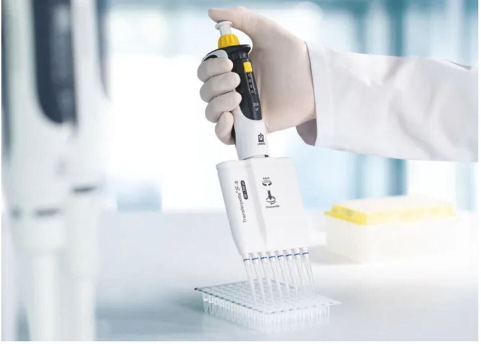 Brand Transferpette S-8 M8-50 Model 8 Kanallı Ayarlanabilir Mikropipet, 5 - 50 µl (705906)