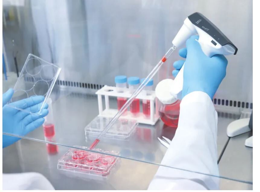 Brand Accu-jet® S Model Pipet Tabancası (Pipet Kontrolörü), 0,1- 200 ml Cam ve Plastik Pipetlere Uygun, 26350